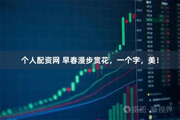 个人配资网 早春漫步赏花，一个字，美！